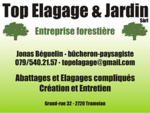 Top élagage